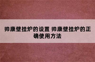 帅康壁挂炉的设置 帅康壁挂炉的正确使用方法